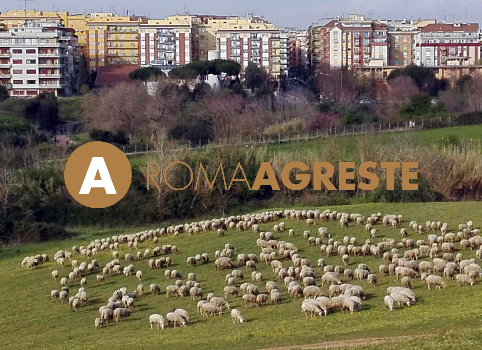 ROMA AGRESTE